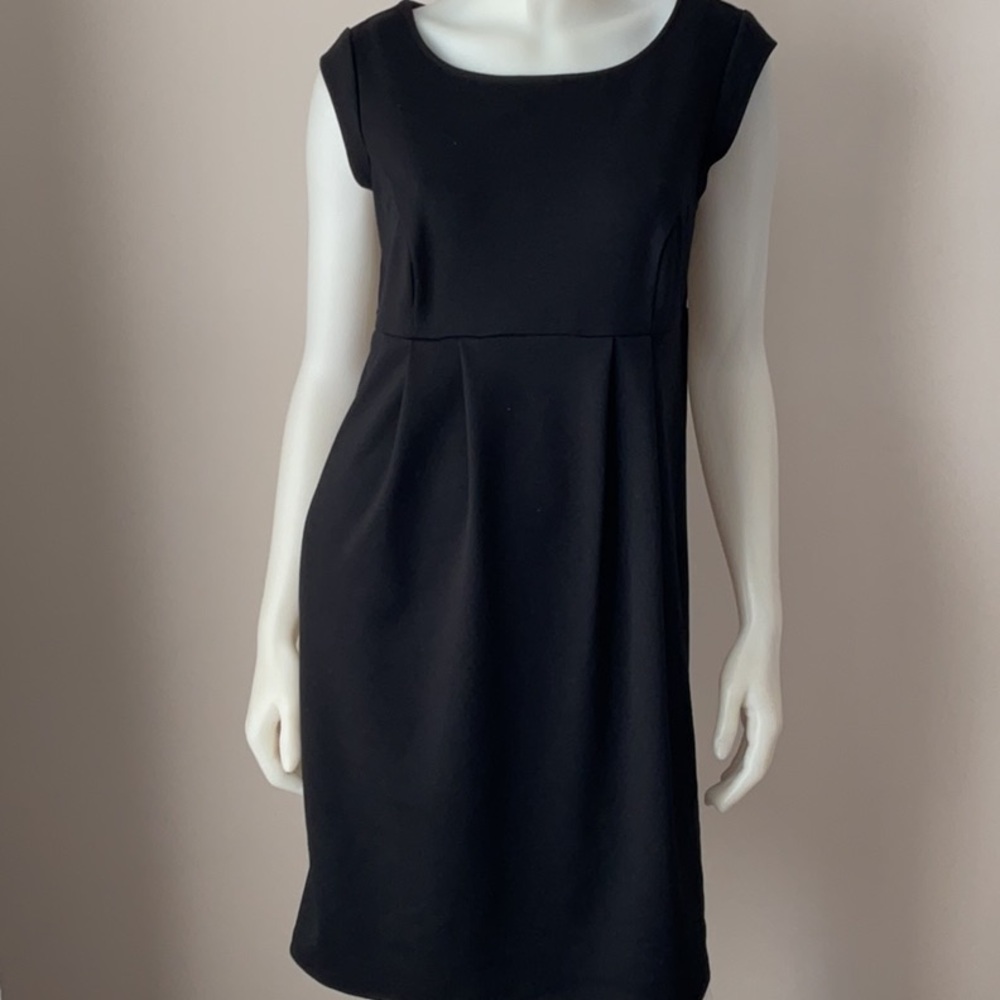 Liz Lange Maternity Dress